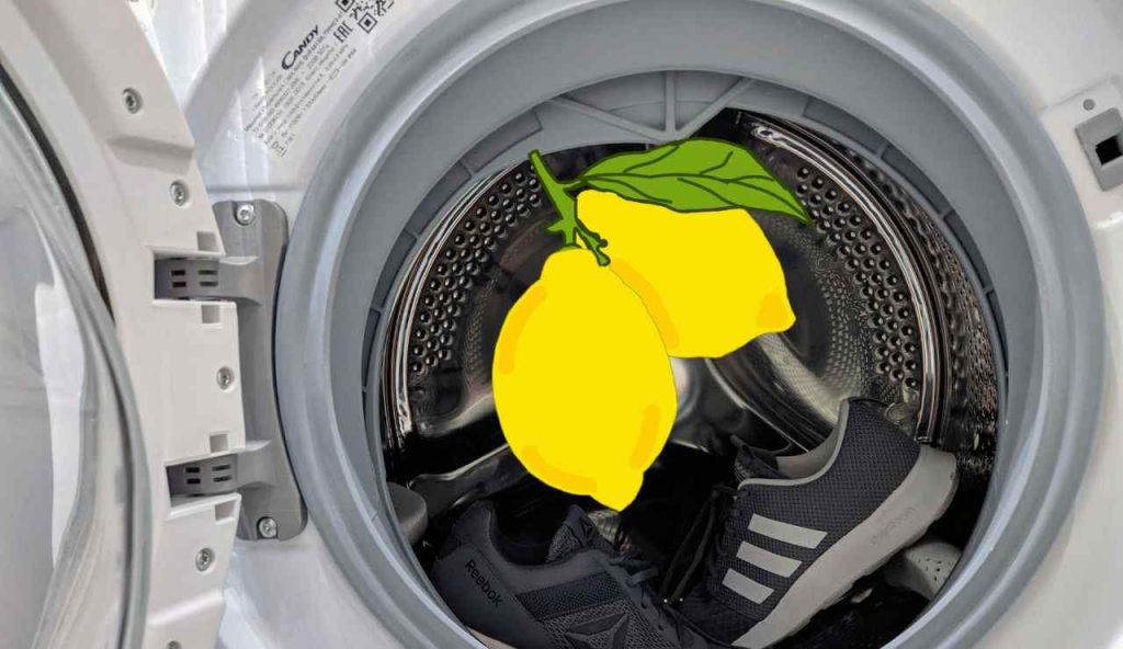 Limoni in lavatrice
