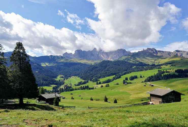 Trentino