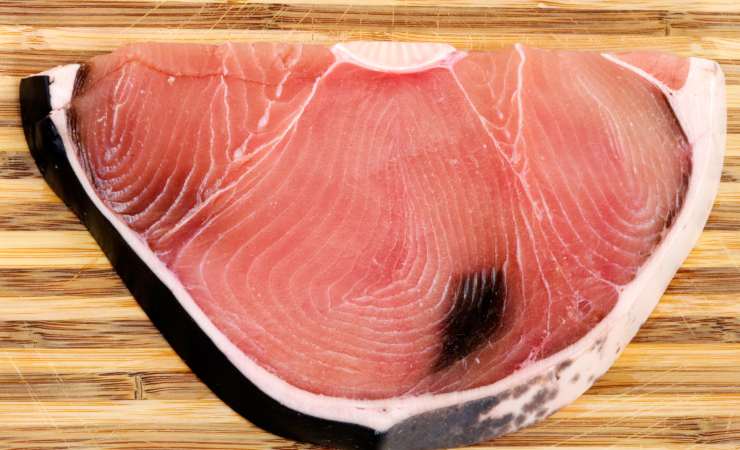 Carne di squalo