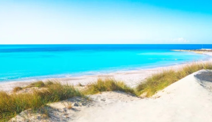 Spiaggia di Rosignano Solvay (Depositphotos foto) - www.insolenzadir2d2.it