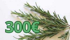 300 euro rosmarino