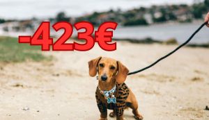 423 euro di multa ai padroni