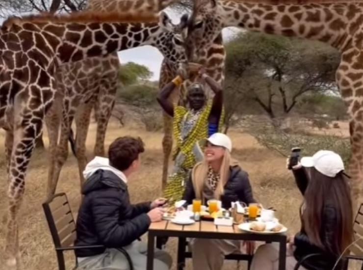 Federica Panicucci e la colazione con le giraffe (federica panicucci - instagram screenshot) - www.insolenzadir2d2.it