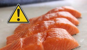 salmone pericolo