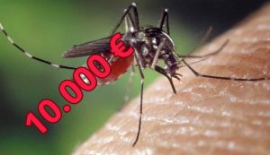 Uccidere zanzare costa 10 mila euro