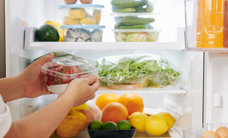 Frigo