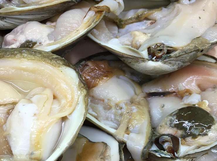 Vongole (Pixabay foto) - www.insolenzadir2d2.it