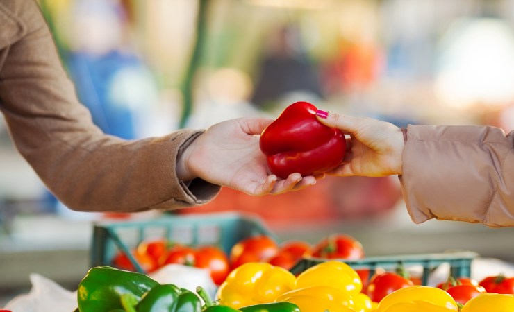 Compravendita di frutta e verdura
